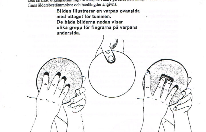 Välkommen till varpan, sida 4